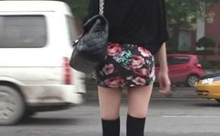 冬月枫作品封面